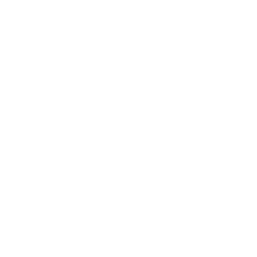 Logo (White / Dark theme)